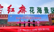 盛世觅奇境•戈壁赏红麻！第七届戈宝红麻花海文化旅游节盛大开幕