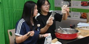 湾区青年携手金融学子赴梅州蕉岭深耕乡土实践 金融赋能客家文脉助力百千万工程