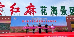 盛世觅奇境•戈壁赏红麻！第七届戈宝红麻花海文化旅游节盛大开幕