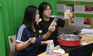 湾区青年携手金融学子赴梅州蕉岭深耕乡土实践 金融赋能客家文脉助力百千万工程