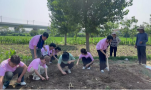 江苏建筑职业技术学院土壤改良剂团队助力农民，实现农业增效与环保双赢
