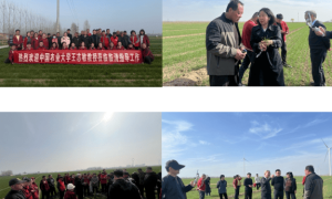 乡合农服特邀外部专家深入一线精准“巡田”，把脉问诊护航冬小麦春管
