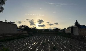 兰州大学经济学院”陇原薪火”实践团队深入甘肃农村调研农业绿色转型