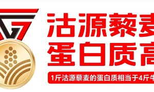 “沽源藜麦”区域公用品牌推介会在津举行，高蛋白产业迈入品牌化发展新阶段