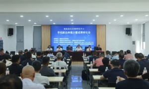 湖南稻种公园“田间选秀”识良种，乡合农服赋能种业成果落地