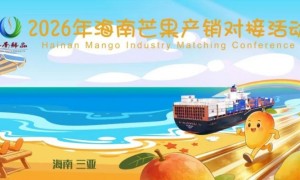 畅通产销 赋能海南芒果产业升级 2026年海南芒果产销对接活动圆满举办