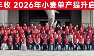 四新助农·麦向丰收2026小麦单产提升启动大会成功举办 科技赋能筑牢粮食安全防线
