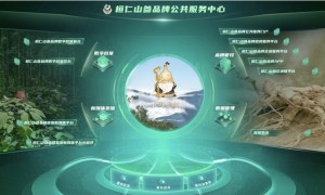 桓仁山参品牌管控系统正式上线