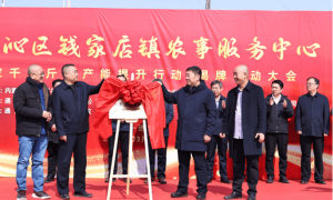 科区首家！科尔沁区钱家店乡合农事服务中心开业 擘画基层农业社会化服务新图景