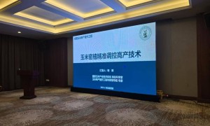 乡合：90后种地小白种植创业底气何在？“科技+服务”打造单产提升标杆