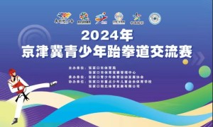 张家口市宣化区精英跆拳道俱乐部参加-2024年京津冀青少年跆拳道交流赛中斩获佳绩
