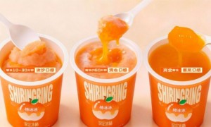 被这支“会融化的柿子”治愈了！国风甜品新顶流，一口吃掉整个秋天🍂
